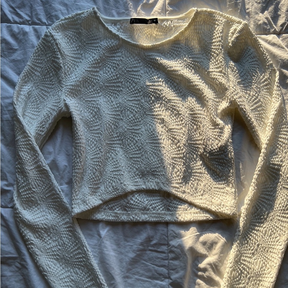 Zara Cropped Long Sleeve Top